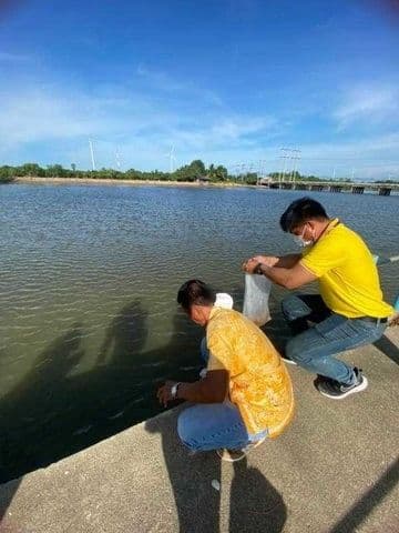 ภาพที่ 17 จาก 30
