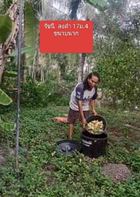 ภาพที่ 2 จาก 4