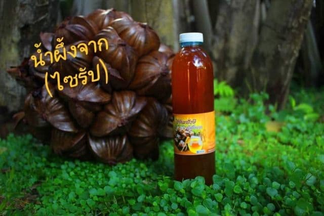 ภาพที่ 9 จาก 9